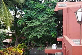 Shanthi Niwas Bed and Breakfast, Mysore 4